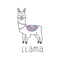 Hand drawn white llama with patterned fringed blanket. Cute furry llama or alpaca animal outlined vector illustration with writing llama. Isolated.