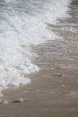 private beach tropical island