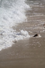 private beach tropical island