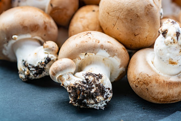 Fresh organic brown chestnut champignons from underground caves in Belgium