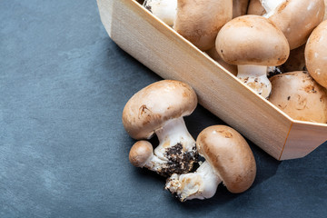 Fresh organic brown chestnut champignons from underground caves in Belgium