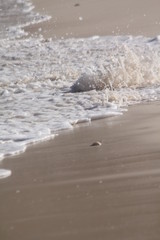 private beach tropical island