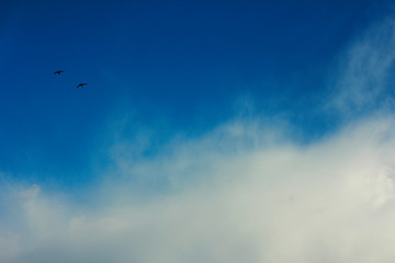 summer spring cloudy blue sky