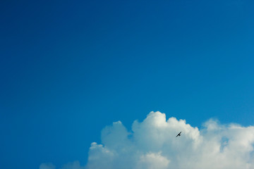 summer spring cloudy blue sky