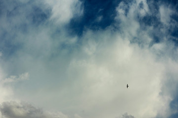 summer spring cloudy blue sky