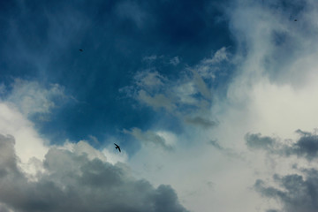 Storm clouds backgrounds