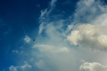 summer spring cloudy blue sky