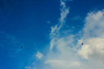 summer spring cloudy blue sky