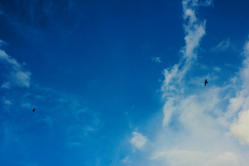 summer spring cloudy blue sky