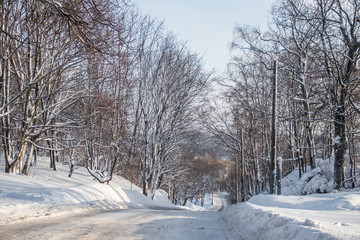 The road in the winter forest. Snow picture. Branches of trees in the snow hang over the road.
