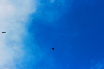 summer spring cloudy blue sky