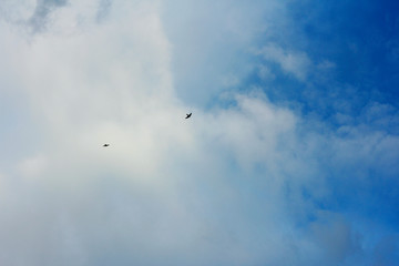 summer spring cloudy blue sky