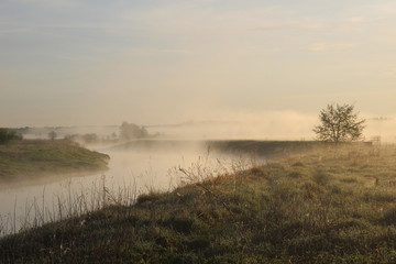 Misty river in early summer morning