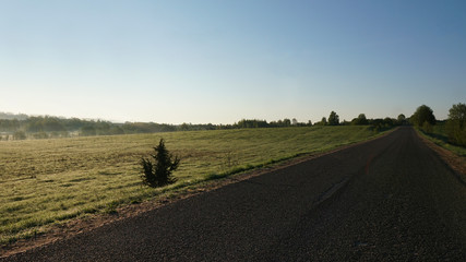 Fototapeta premium Summer beautiful road, blue sky, sun and trees.Inspirational landscape