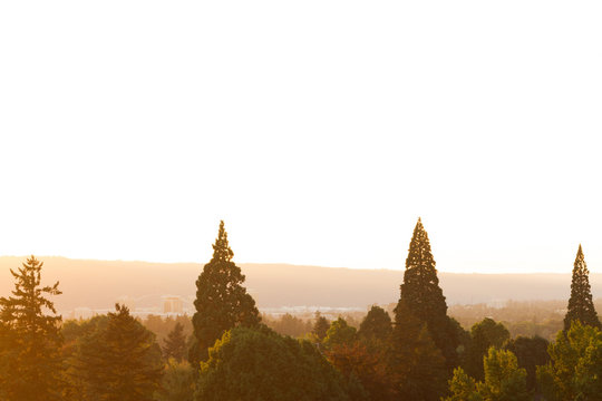 Sunset At Mount Tabor Park In Portland Oregon