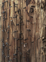 Close up pattern of staples in a power pole