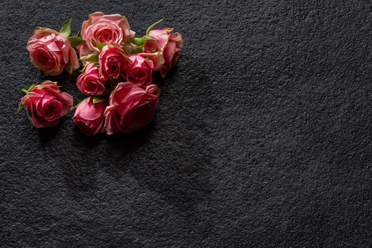 Baby rose buds on a dark slate surface