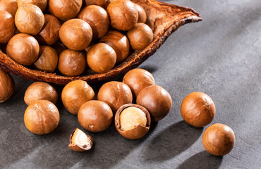 Organic macadamia nuts - Macadamia integrifolia. Text space
