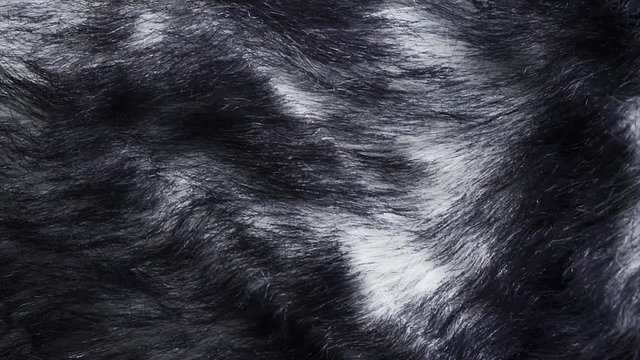Grizzled animal fur cloth is waving. Graying skin close up shot. 