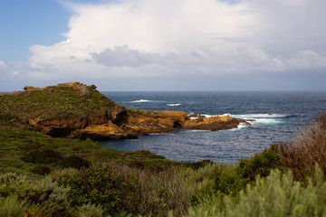 Obraz premium Point Lobos