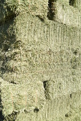 Alfalfa baling machine and stacked bales