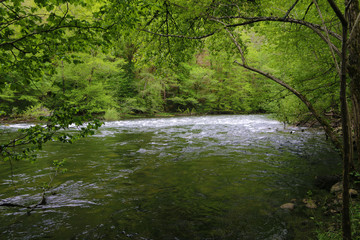 Naklejka premium CAHORS