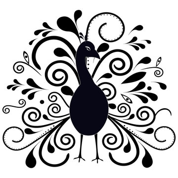 Peacock illustration. Black ornate silhouette on white background.