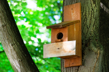 Birdhouse on a tree in forest park on spring day, hand wood shelter for birds to spend the winter. Wooden empty plank for text. Close up, selective focus