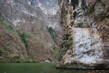 Árbol de navidad, Cañon del Sumidero, Chiapas