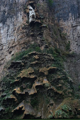 Árbol de navidad, Cañon del Sumidero, Chiapas