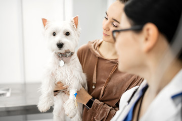 Woman wearing smart watch showing her cute white dog