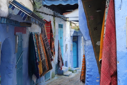 nature adventures travels