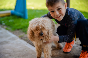 A little boy playing with his dog