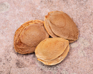 Dried Apricot Kernels (the seed of an apricot, often called a 