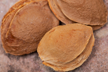 Dried Apricot Kernels (the seed of an apricot, often called a 