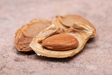 Dried Apricot Kernels (the seed of an apricot, often called a 