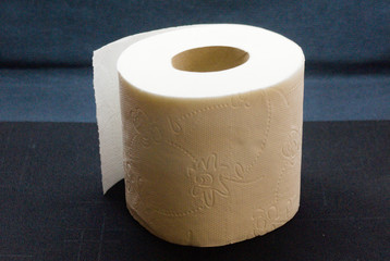 a roll of toilet paper