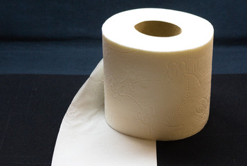 a roll of toilet paper