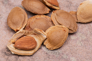 Dried Apricot Kernels (the seed of an apricot, often called a 