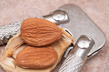 Dried Apricot Kernels (the seed of an apricot, often called a 