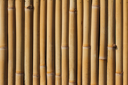 Full frame background of bamboo