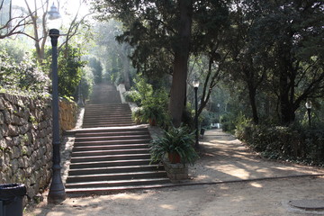 nature adventures travels