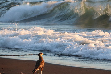 nature adventures travels