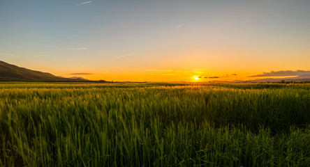 Fototapeta premium Atardecer colorido sobre campos de agricultura 