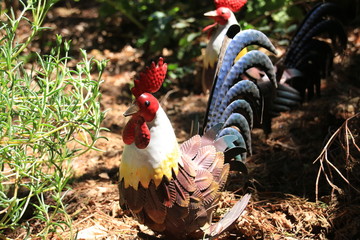 metal garden rooster © Lauren