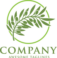 Green olives on branch vector illustration 