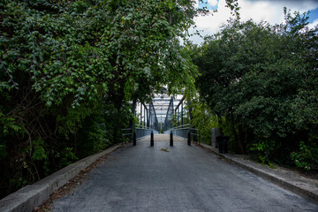 Fototapeta na wymiar Bridge with Trees
