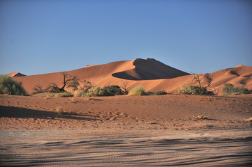 Fototapeta na wymiar Namibia. Namib Desert The sand dunes of the red sand are the visiting card of Namibia.