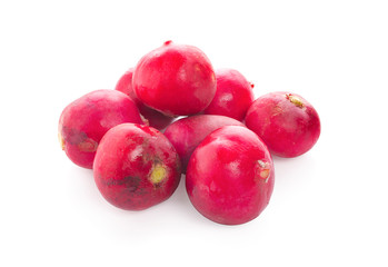 Red radish closeup image on seamless white background