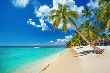 Keuken spatwand met foto Palm en tropisch strand in Punta Cana, Dominicaanse Republiek © ValentinValkov